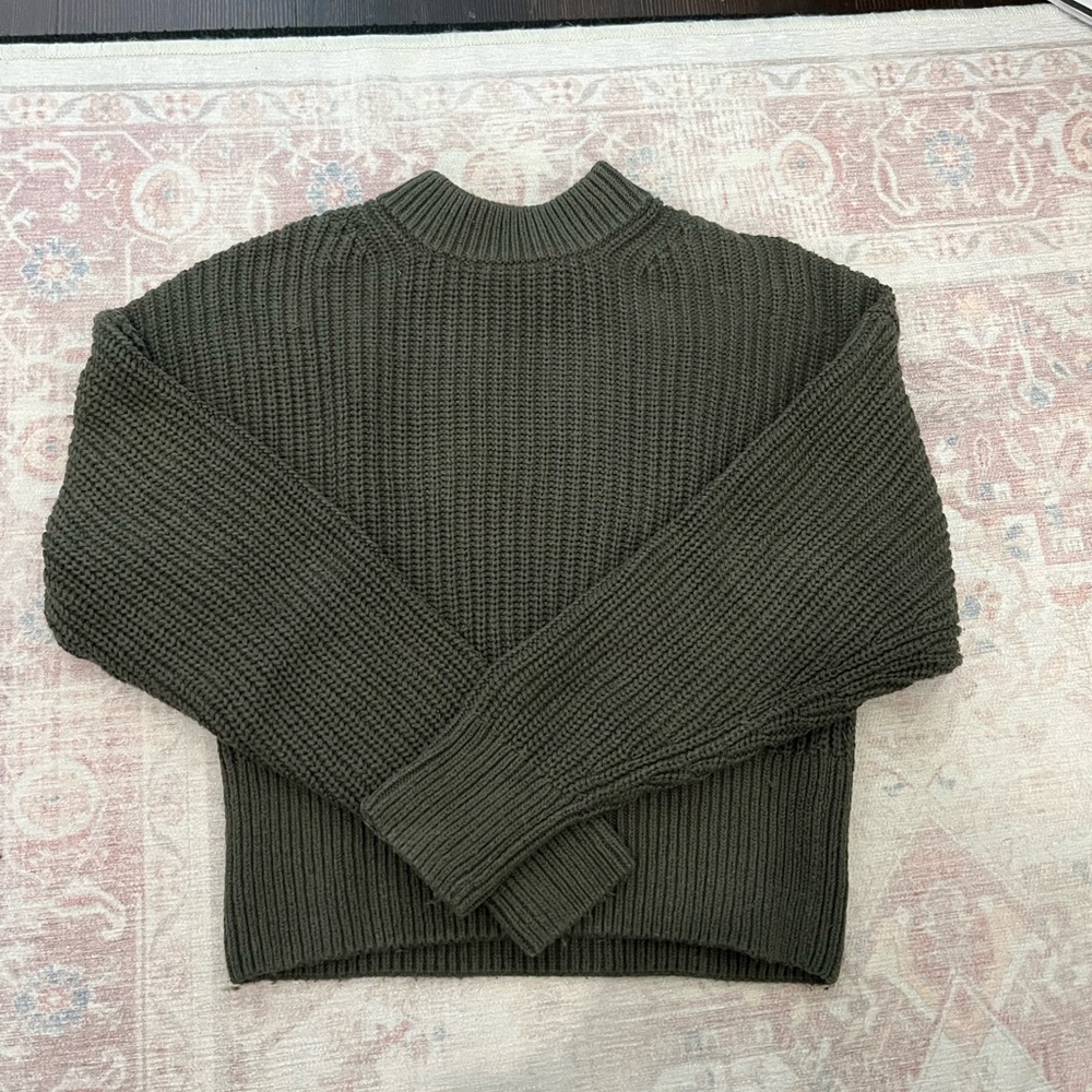 Everlane Organic Cotton Ribbed Sweater in Kambaba